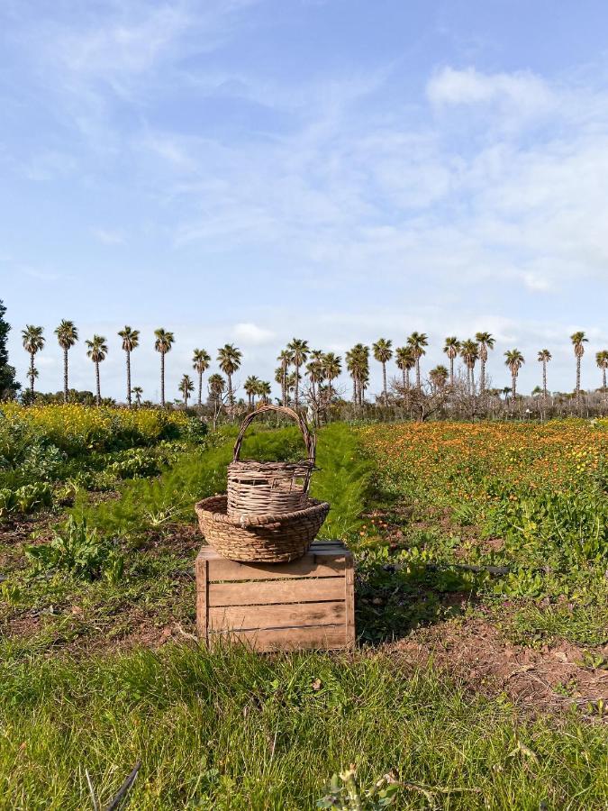 Galeta Masseria 나르도 외부 사진