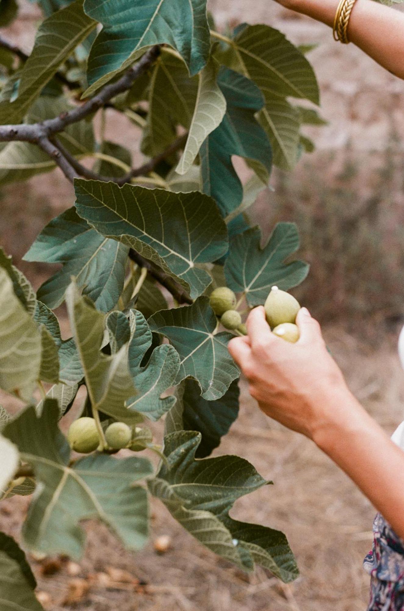 Galeta Masseria 나르도 외부 사진